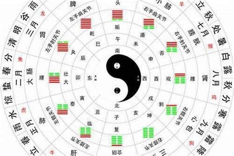 月的五行|12月份五行属什么